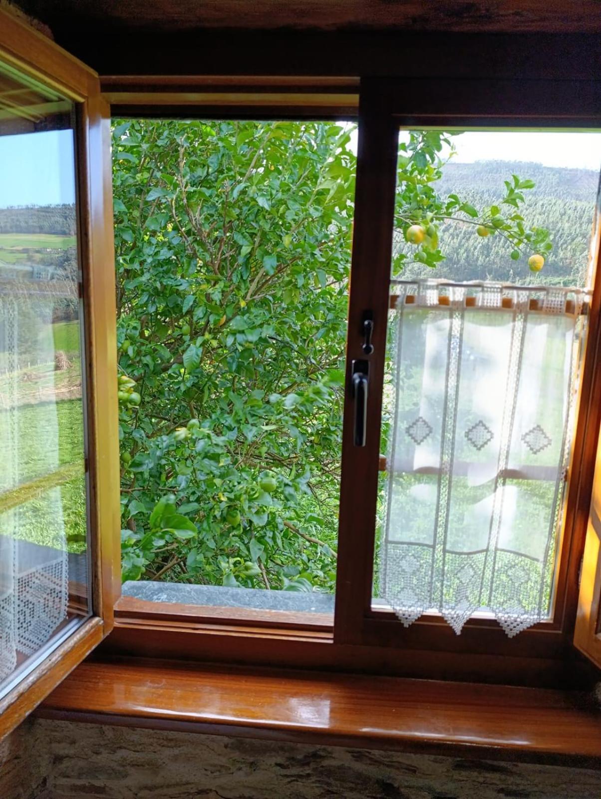 Apartamentos Rio Eo San Tirso de Abres Exteriér fotografie